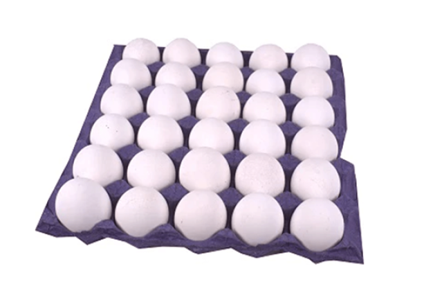 CONO DE HUEVO ALTA CAPACIDAD