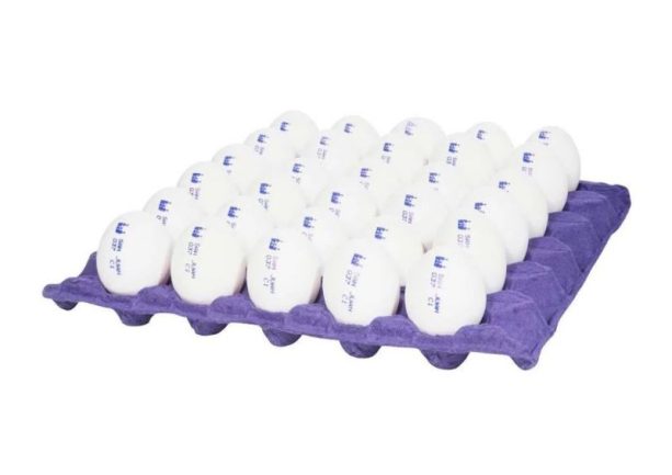 CONO DE HUEVO ESTANDAR